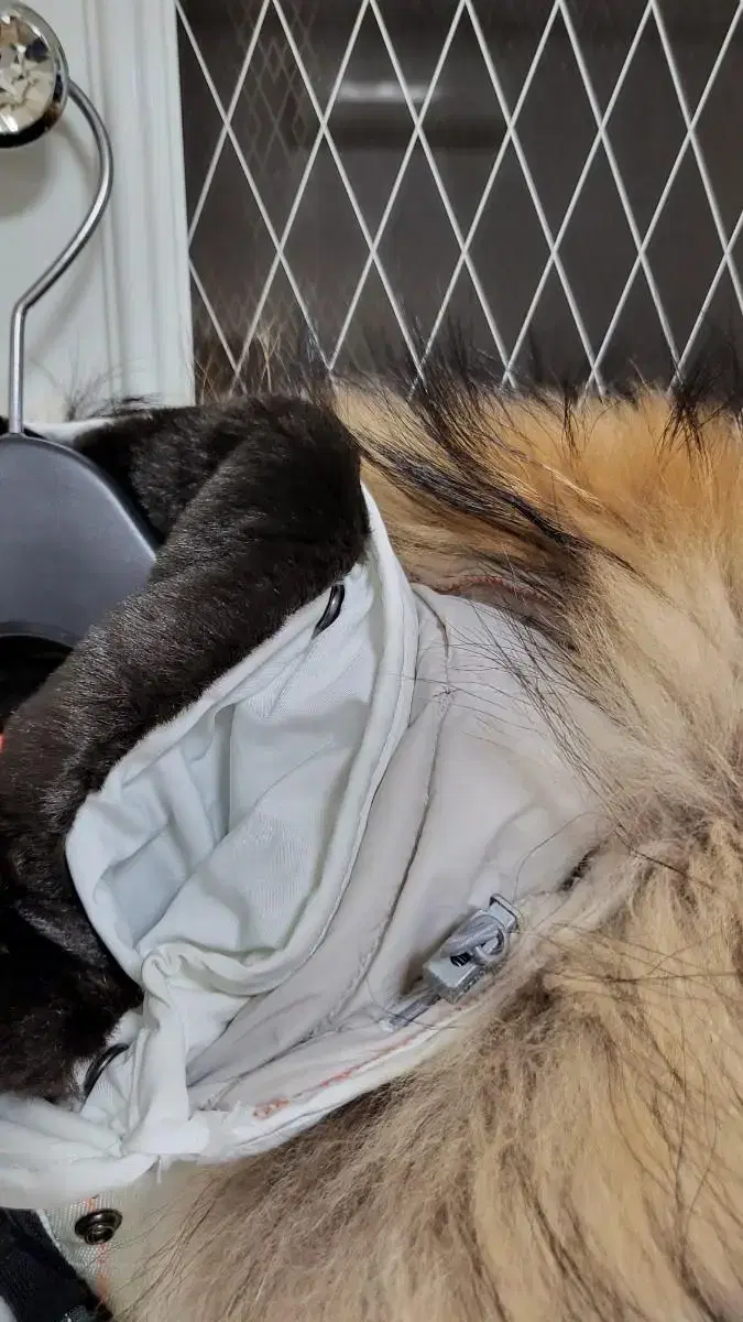 thumbnail-8